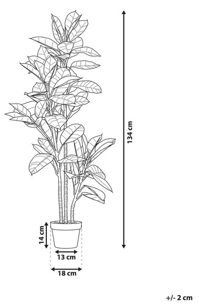 Műnövény FICUS ELASTICA 134 cm Zöld
