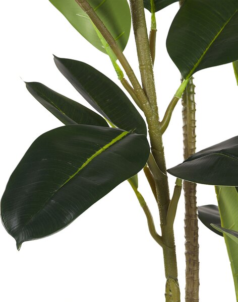Műnövény FICUS ELASTICA 134 cm Zöld