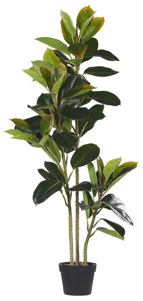 Műnövény FICUS ELASTICA 134 cm Zöld