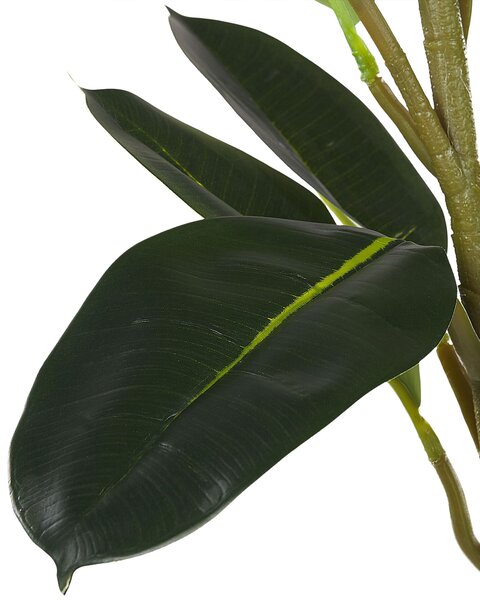 Műnövény FICUS ELASTICA 134 cm Zöld