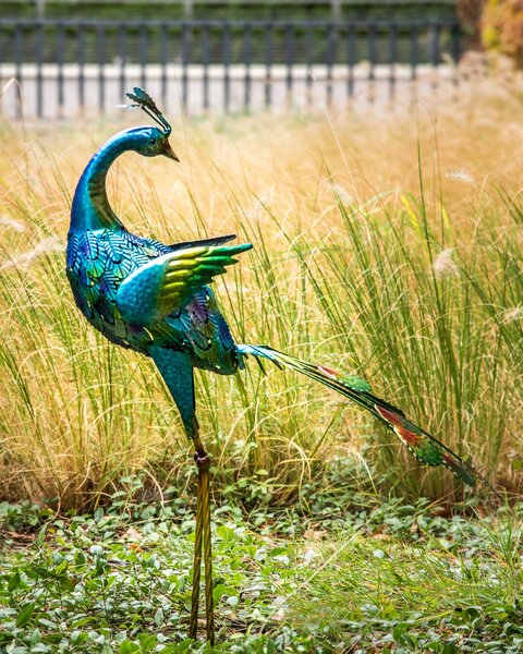 Kerti szobor PEACOCK Kék