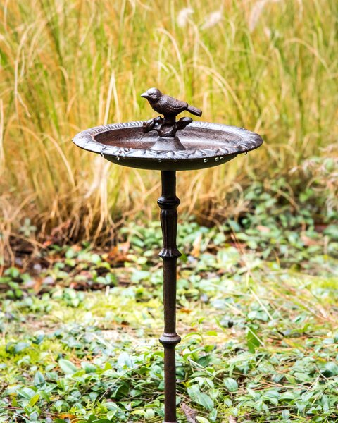 Madáritató SWALLOW Barna