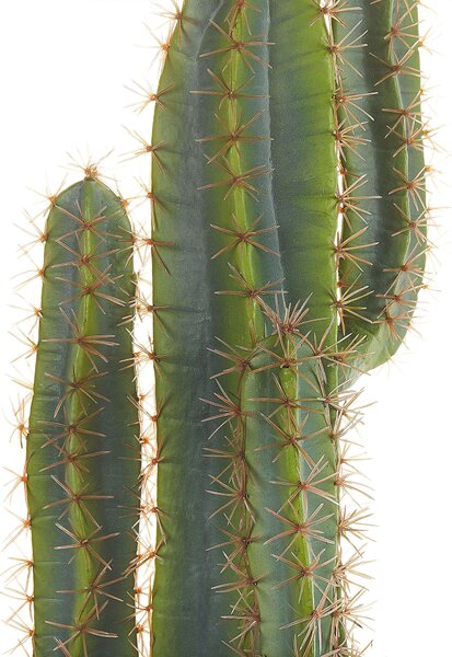 Műnövény CACTUS 78 cm Zöld