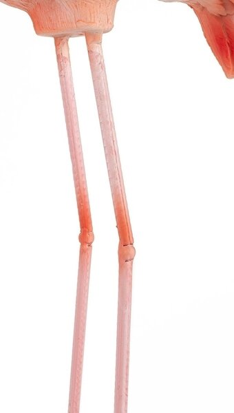 KARE Design Flamingo Road Kézműves Műgyanta Dekoráció Korall