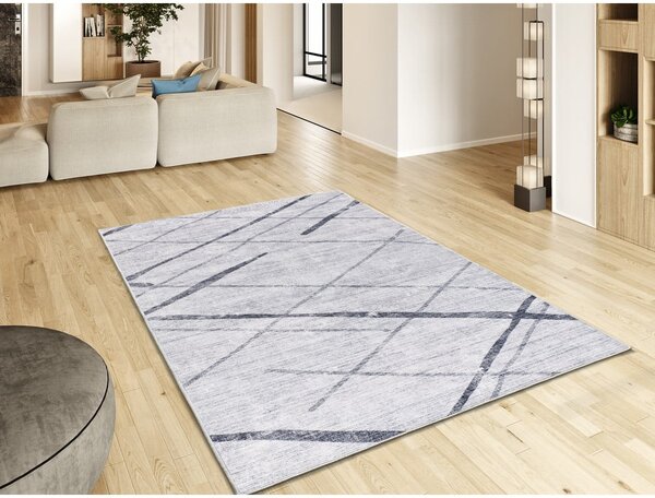 Világosszürke szőnyeg 160x230 cm Class – Universal
