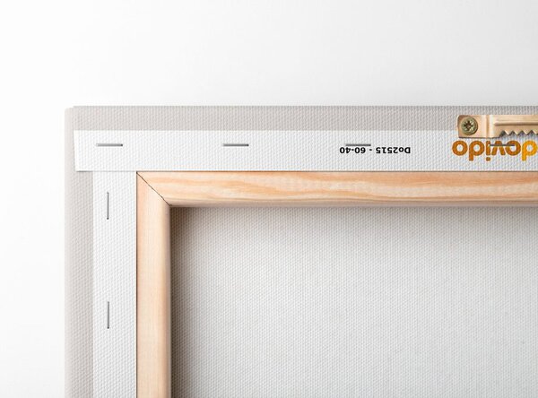 Kép minimalista levelek