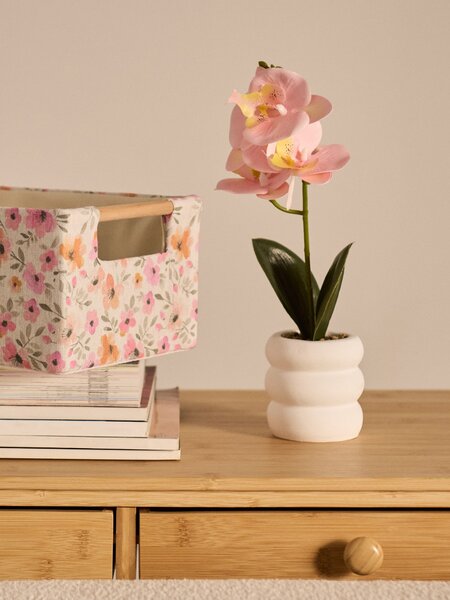 Sinsay - Dísznövény cserépben – orchidea - pasztellpink
