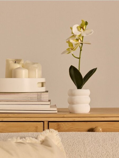 Sinsay - Dísznövény cserépben – orchidea - fehér