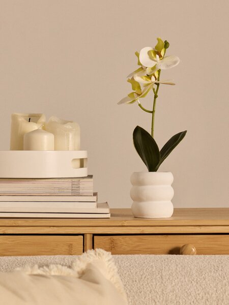 Sinsay - Dísznövény cserépben – orchidea - fehér