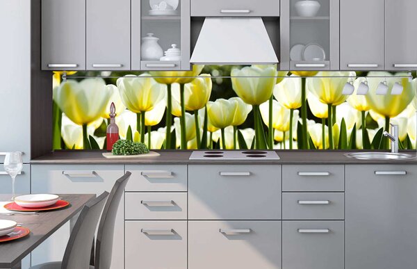 Konyhai fotótapéta - fehér tulipán 260 x 60 cm