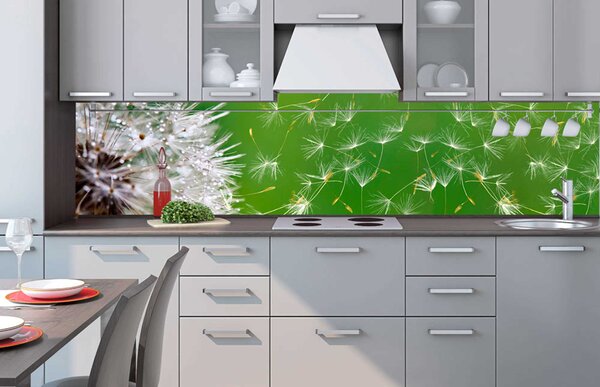 Konyhai fotótapéta - pitypang 260 x 60 cm