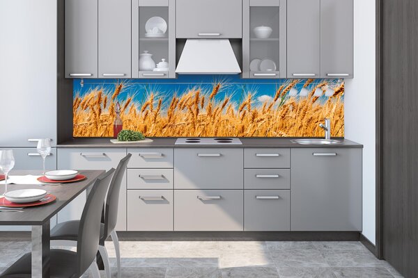Konyhai fotótapéta - búzamező 260 x 60 cm
