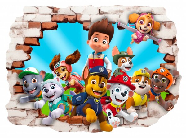 Falmatrica "PAW Patrol" 80x60cm