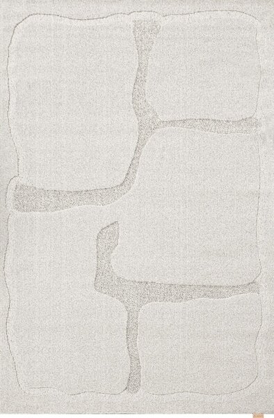 Világosszürke gyapjú szőnyeg 160x230 cm Morphic Organica – Agnella
