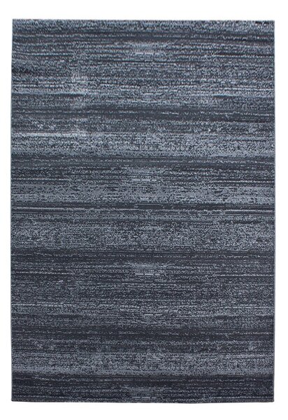 Szürke szőnyeg 80x150 cm Plus – Ayyildiz Carpets