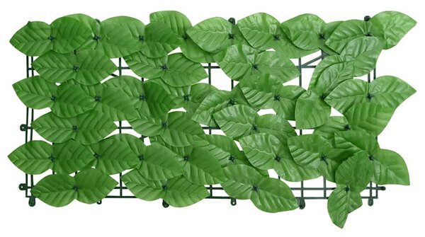 Zöld leveles erkélyparaván 600 x 100 cm