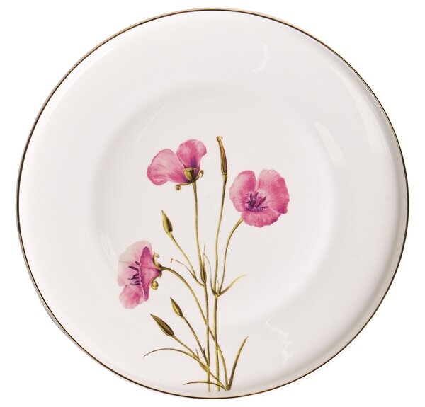12 darabos étkészlet HYSSOP Porcelán Fehér