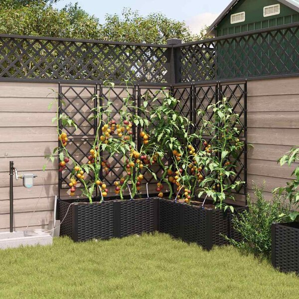 VidaXL Kerti cserép 5 pcs Fekete 120 x 120 x 142 cm Műanyag