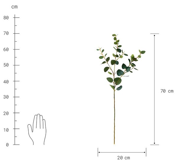 FLORISTA eukaliptusz ág, zöld 70cm