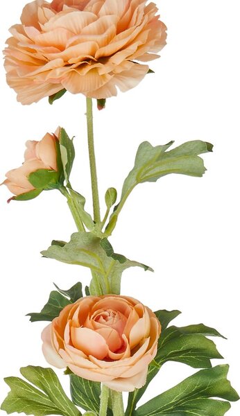 FLORISTA boglárka 63 cm, barackszín