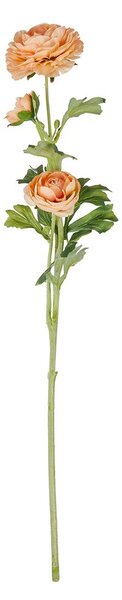 FLORISTA boglárka 63 cm, barackszín