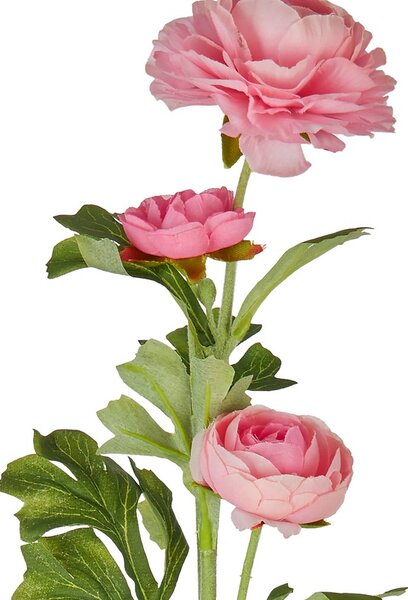 FLORISTA boglárka 63 cm, rózsaszín