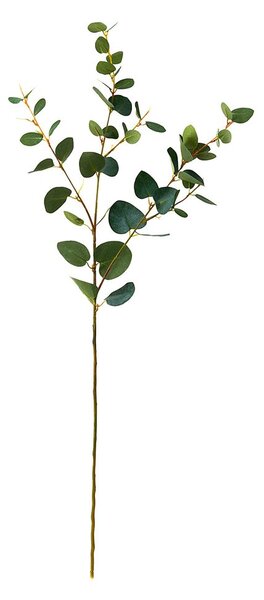 FLORISTA eukaliptusz ág, zöld 70cm