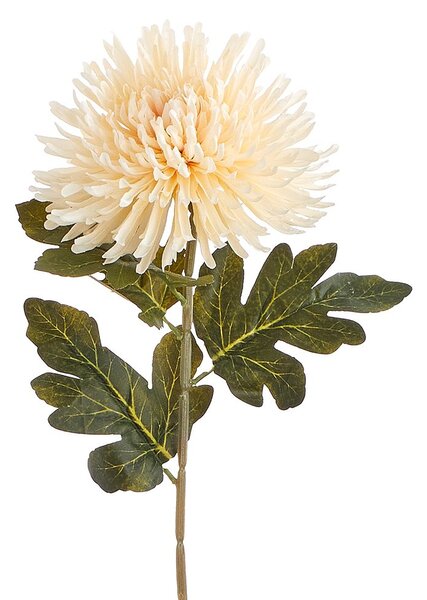 FLORISTA krizantém, krémszín 73cm