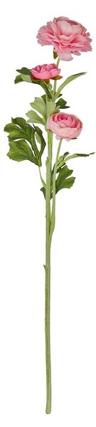 FLORISTA boglárka 63 cm, rózsaszín