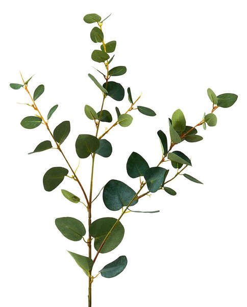 FLORISTA eukaliptusz ág, zöld 70cm