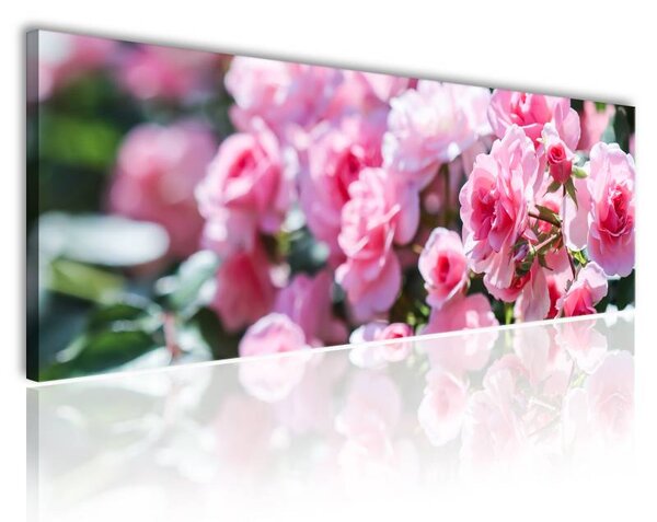 120x50cm - Gyönyörű pink rózsák vászonkép
