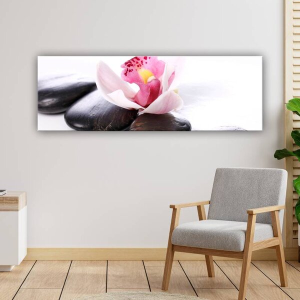 120x50cm - Orchidea zen spa vászonkép
