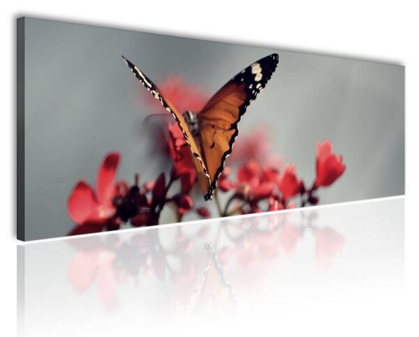 120x50cm - Pillangó vászonkép