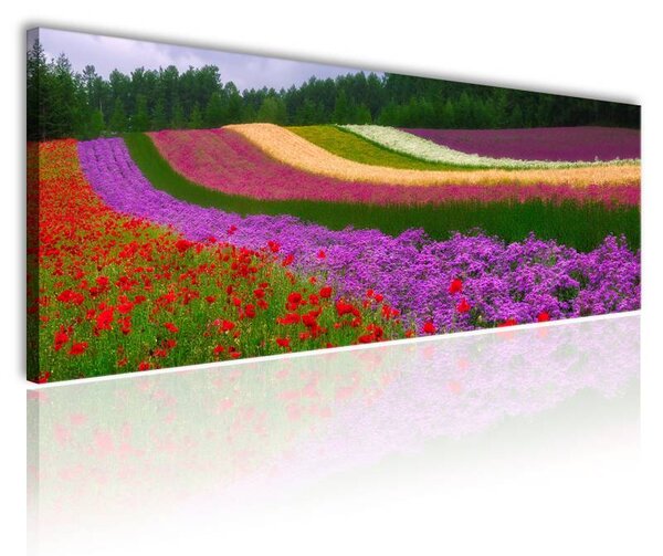 120x50cm - Színes virágok vászonkép