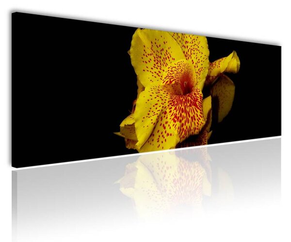 120x50cm - Sárga Virág vászonkép