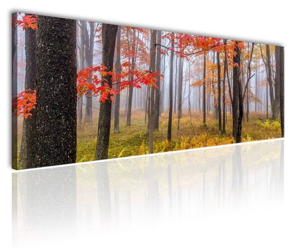 120x50cm - Színes őszi fák vászonkép