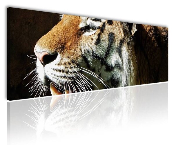 120x50cm - Erőteljes tigris vászonkép