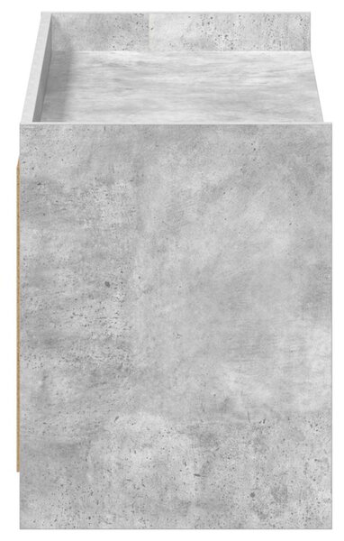 Cipőszekrény ajtóval Betonszürke 100 x 39,5 x 51 cm Szerelt Fa