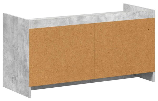 Cipőszekrény ajtóval Betonszürke 100 x 39,5 x 51 cm Szerelt Fa
