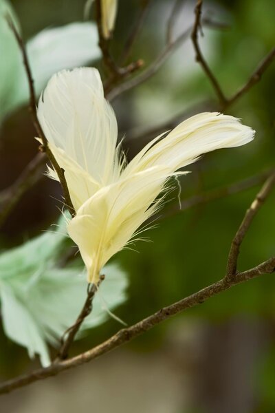 Függő tollak dróton FEATHER DECOR - több színben