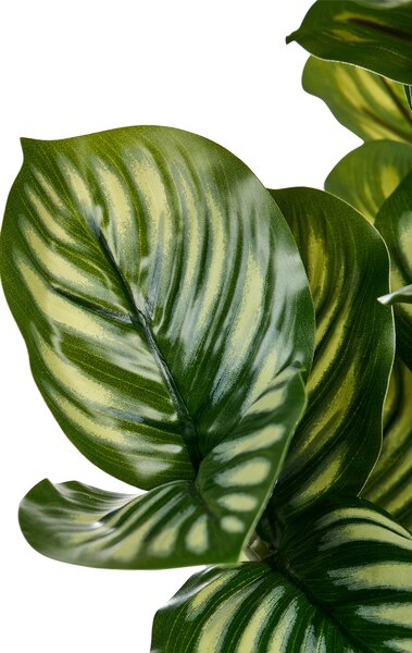 Műnövény ORBIFOLIA 50 cm Zöld