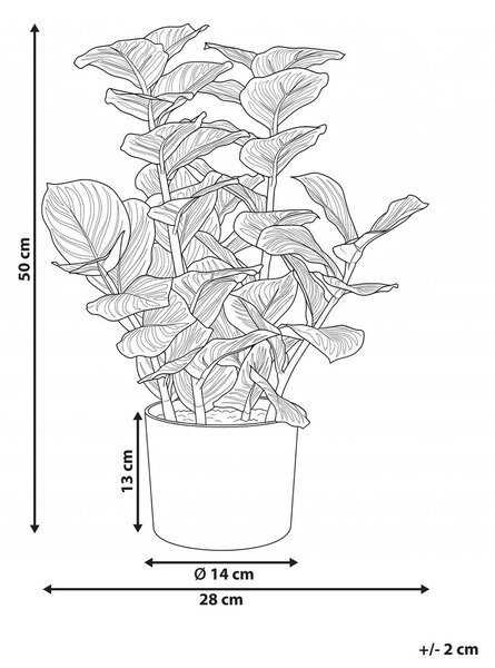 Műnövény ORBIFOLIA 50 cm Zöld
