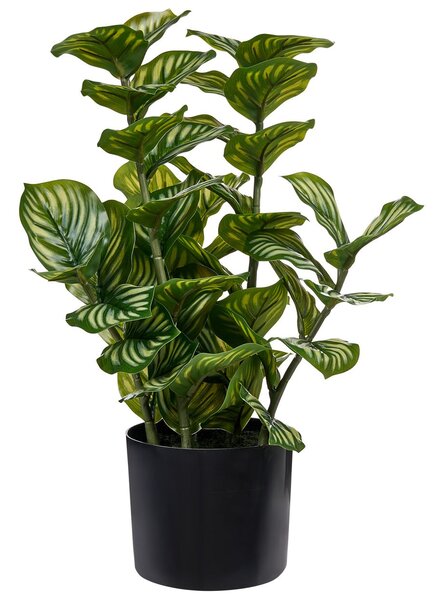 Műnövény ORBIFOLIA 50 cm Zöld