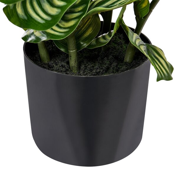 Műnövény ORBIFOLIA 50 cm Zöld