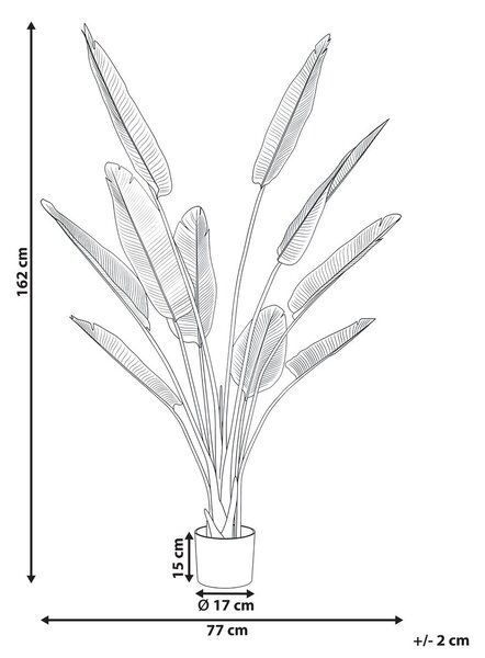 Műnövény BANANA TREE 162 cm Arany