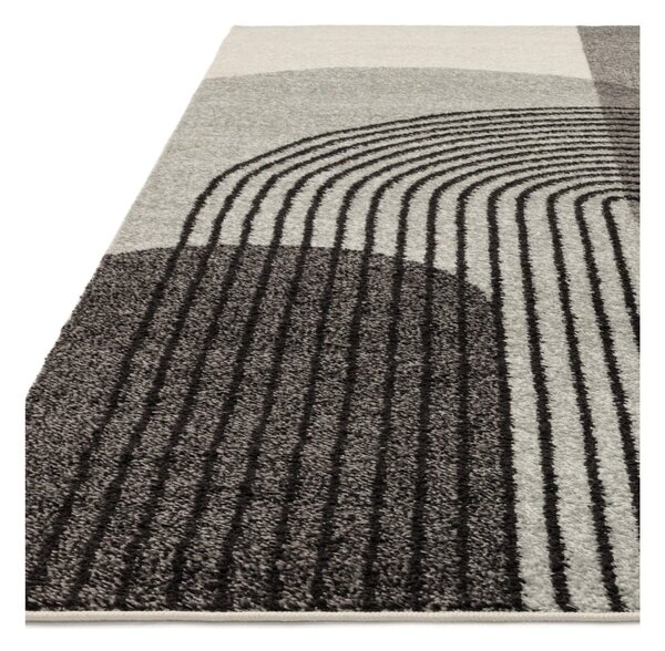 Szürke szőnyeg 170x120 cm Muse - Asiatic Carpets