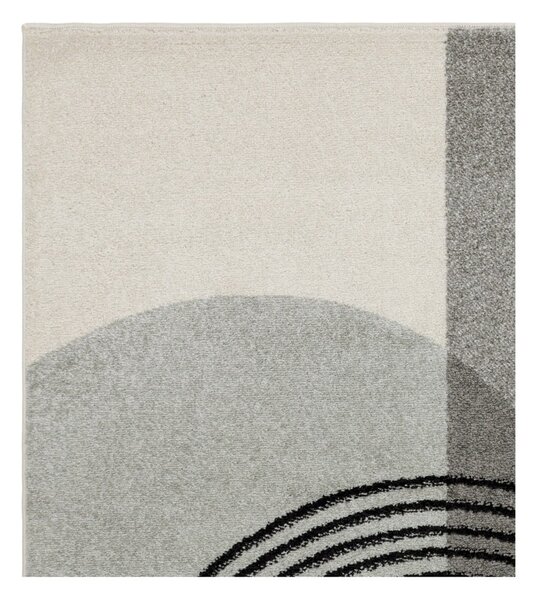 Szürke szőnyeg 170x120 cm Muse - Asiatic Carpets