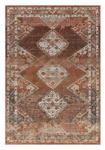 Vörös-barna szőnyeg 230x155 cm Zola - Asiatic Carpets