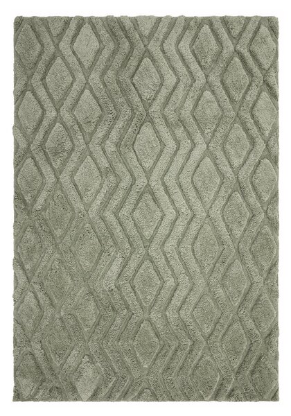 Zöld szőnyeg 290x200 cm Harrison - Asiatic Carpets