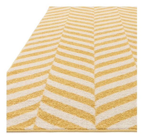 Sárga szőnyeg 170x120 cm Muse - Asiatic Carpets